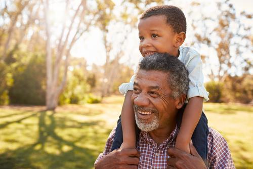 kane county family law attorney
